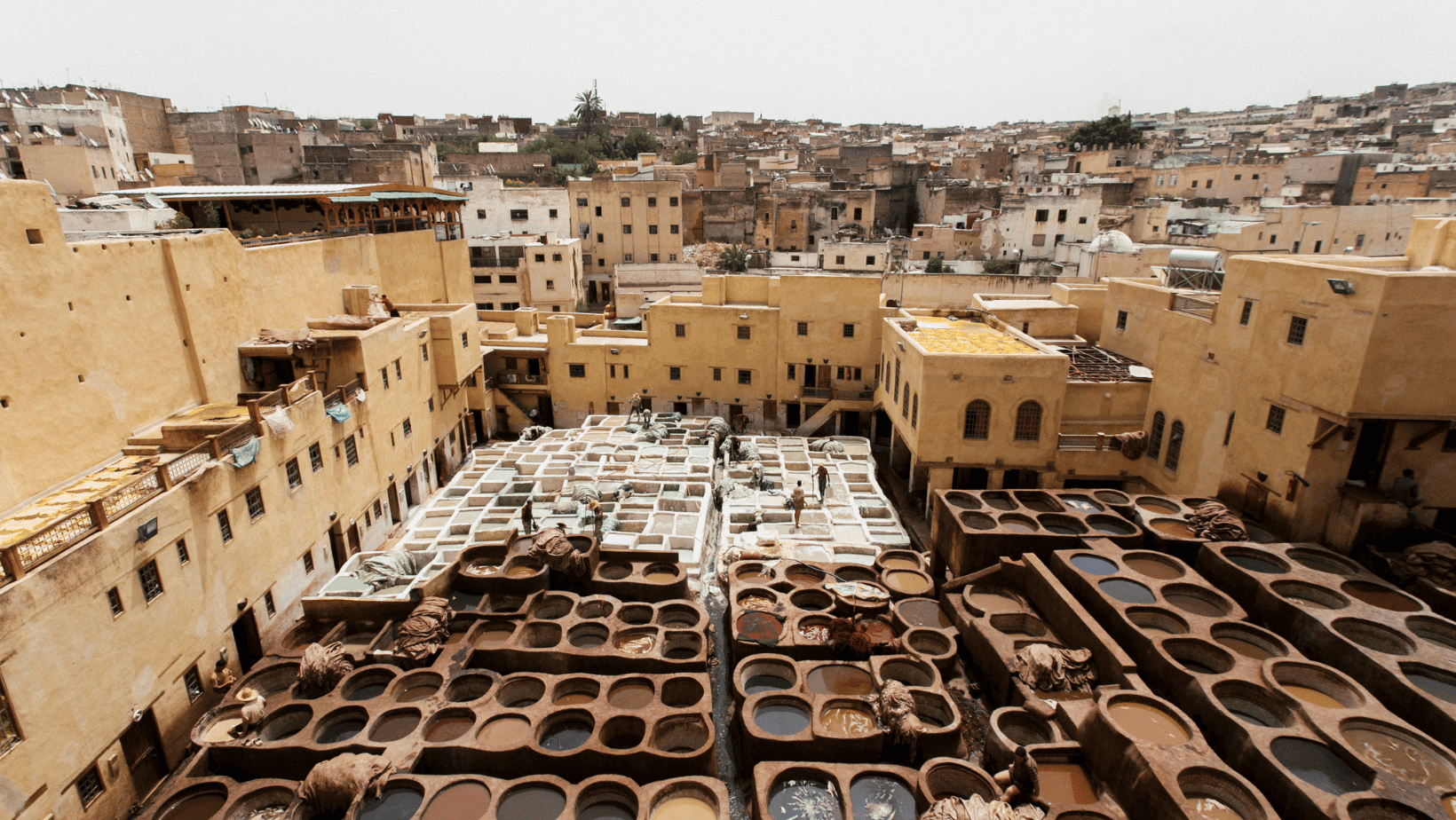 3 Days From Marrakech to Fes